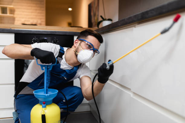 Best Flea Control Services  in Johnston City, IL