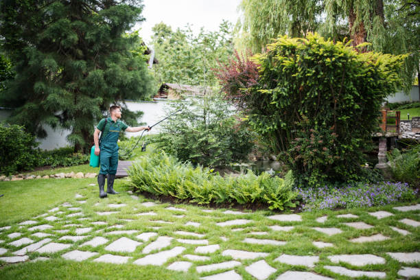 Best Pest Prevention Services  in Johnston City, IL
