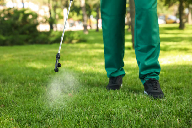 Trusted Johnston City, IL Pest Control Experts