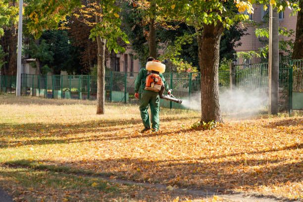 Best Mosquito Control Services  in Johnston City, IL