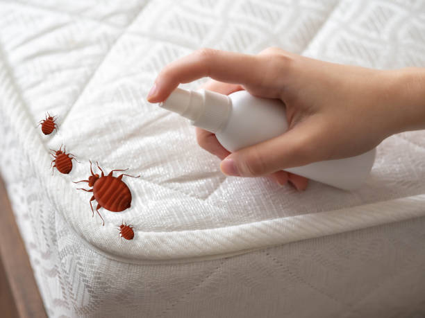 Best Exterminator Services  in Johnston City, IL