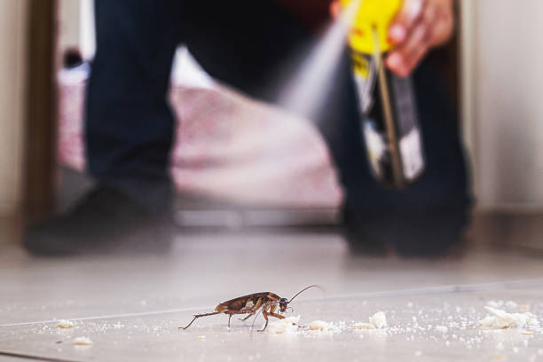Best Local Pest Control Services  in Johnston City, IL