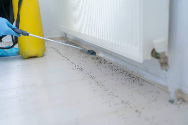 Best Pest Control Near Me  in Johnston City, IL