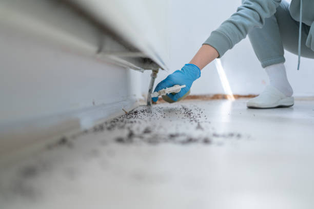 Best Best Pest Control Companies  in Johnston City, IL